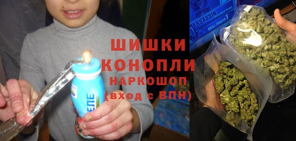 твердый Михайловск