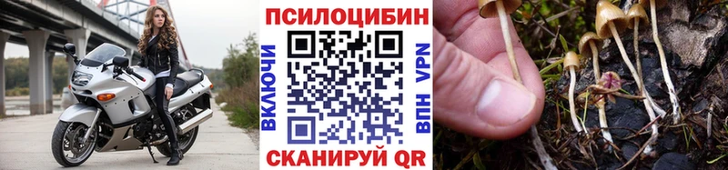 Галлюциногенные грибы Magic Shrooms Дмитриев